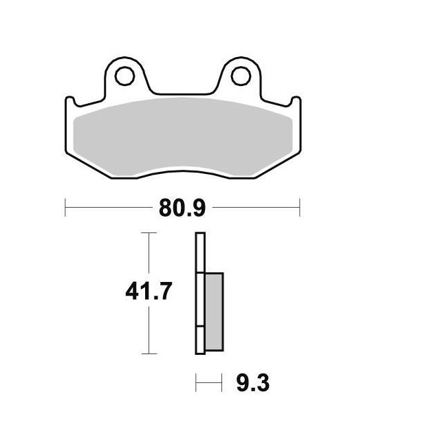 Pastiglia Braking